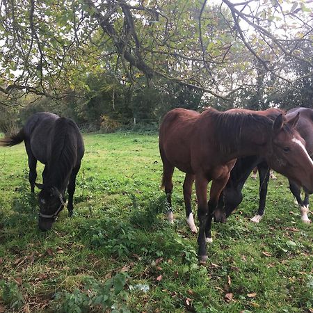 Suite Factory : Gite De Charme En Avesnois Wargnies-le-Petit Εξωτερικό φωτογραφία